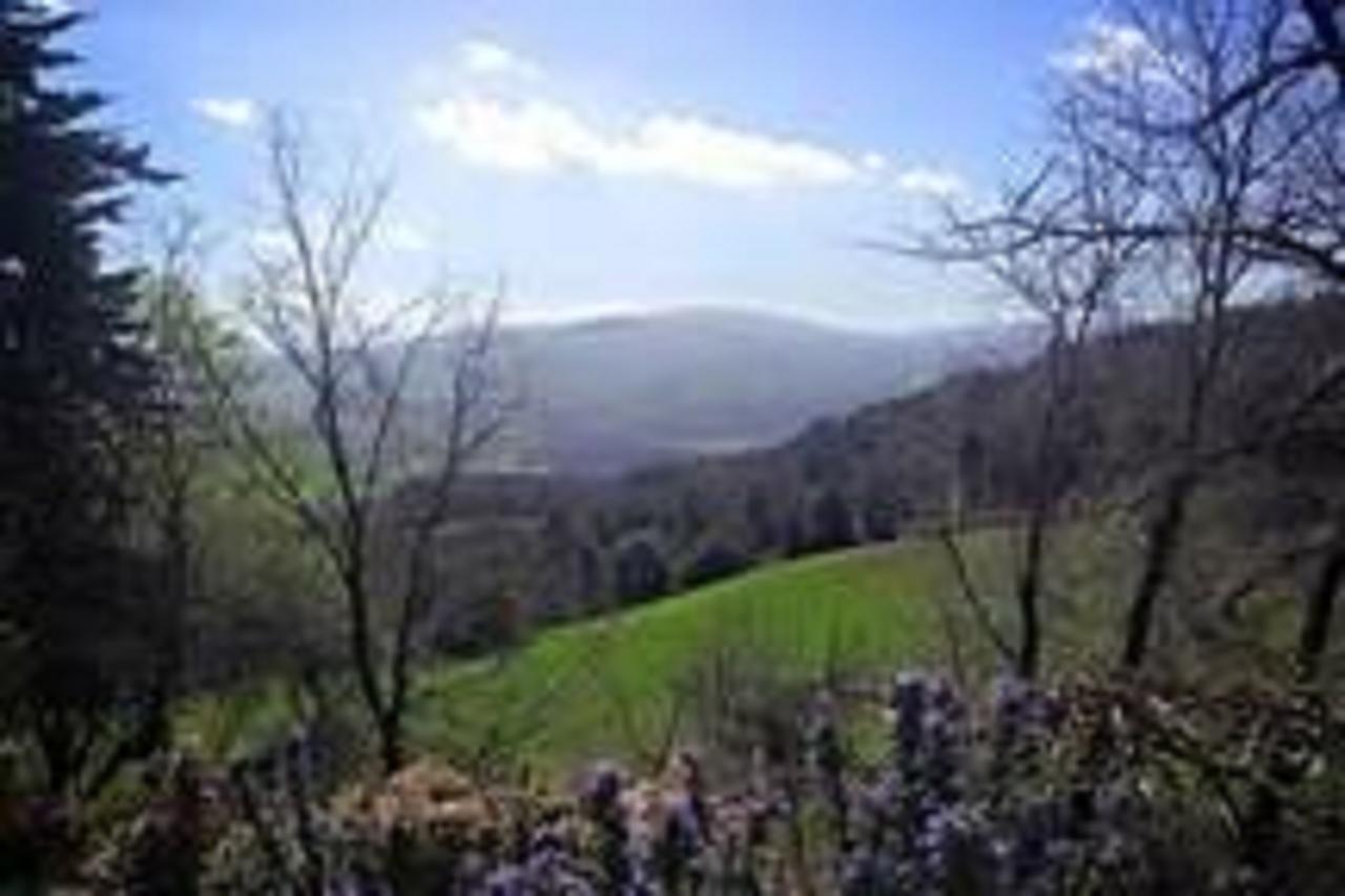 Podere Cerreto カーゾレ・デルザ エクステリア 写真